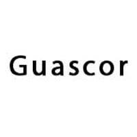 Service provided on over than 20 GUASCOR engines
